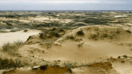 Південь України стає пустелею — які причини та наслідки - 290x166