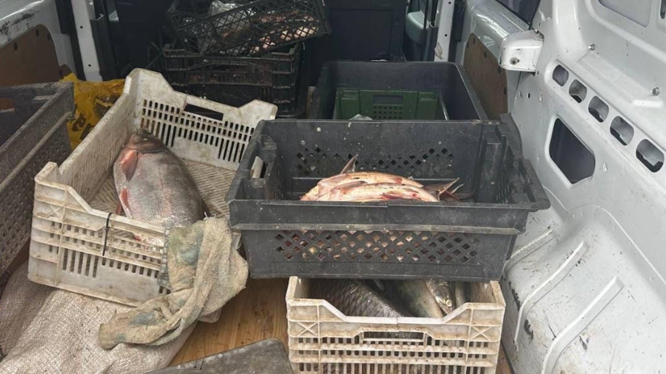 Перевозив рибу з Червоної книги — на Одещині затримали браконьєра
