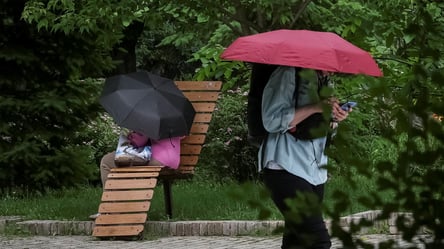 Сонце, спека та грози: синоптикиня Наталка Діденко спрогнозувала погоду на завтра - 285x160