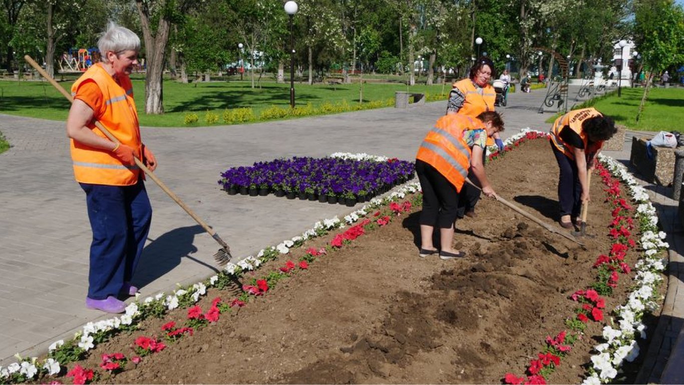 Закупки Киева — власти объявили тендер на саженцы за 7 млн грн