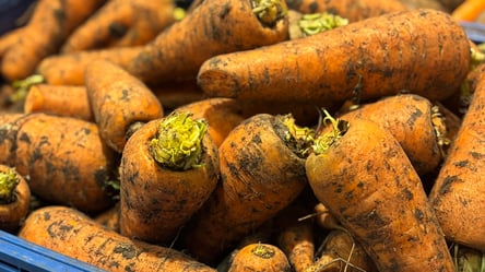 Морква показала вражаючий приклад — що сталося з цінами в Україні - 285x160