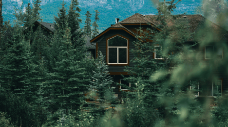 Почему нельзя сажать елку возле дома — объяснение экспертов - 285x160