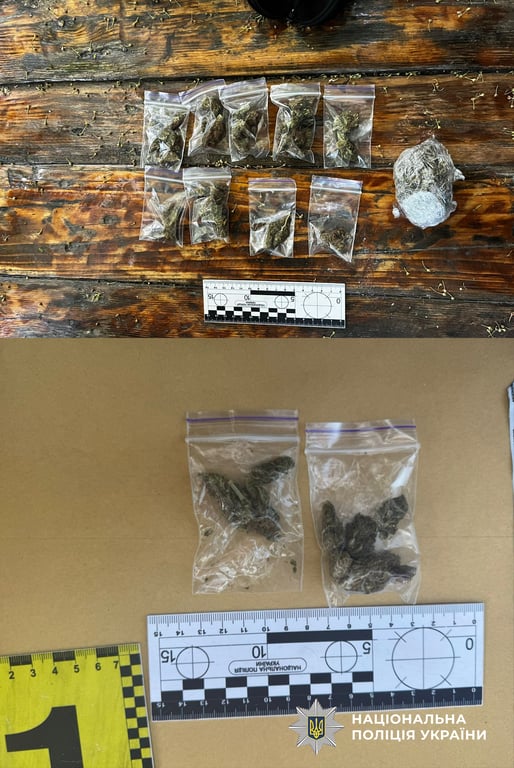 В Одесі затримали "парочку", яка продавала психотропи — деталі - фото 3