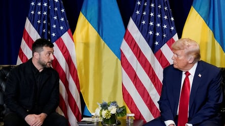 Експосол розкрив, чого чекати від зустрічі Зеленського і Трампа - 285x160