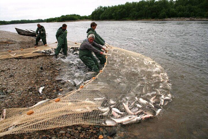 Які рибальські снасті незаконно використовувати на водоймах України — перелік