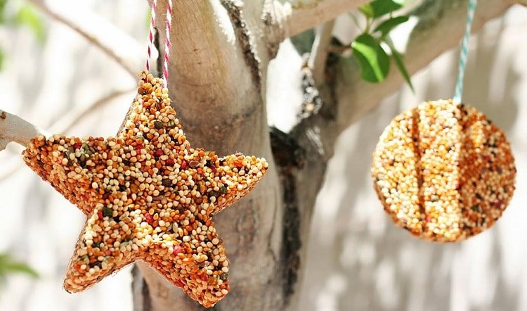 Съедобная кормушка