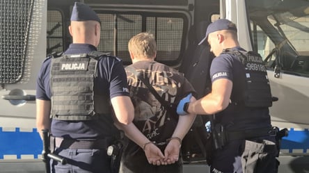 После нападений на школы в Польше полиция задержала 117 подозреваемых - 290x160