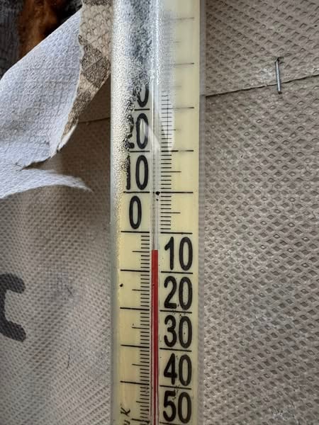 заморозки серпень