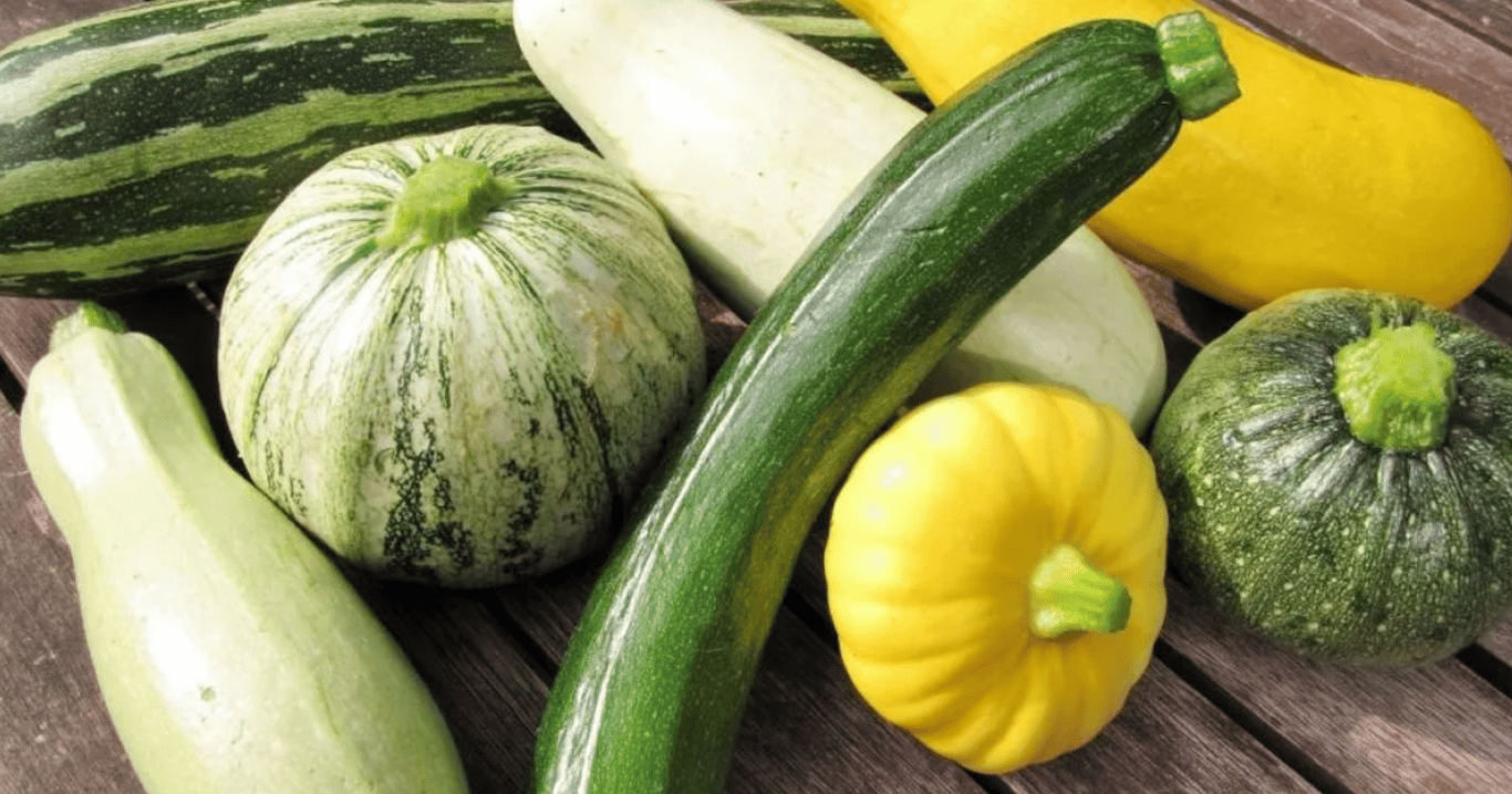 Цукини и кабачки