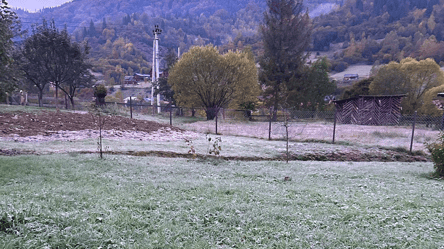 В Украину идут заморозки — прогноз от Диденко - 285x160