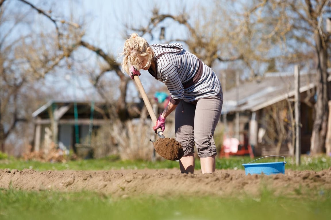 Дачница, копающая на огороде