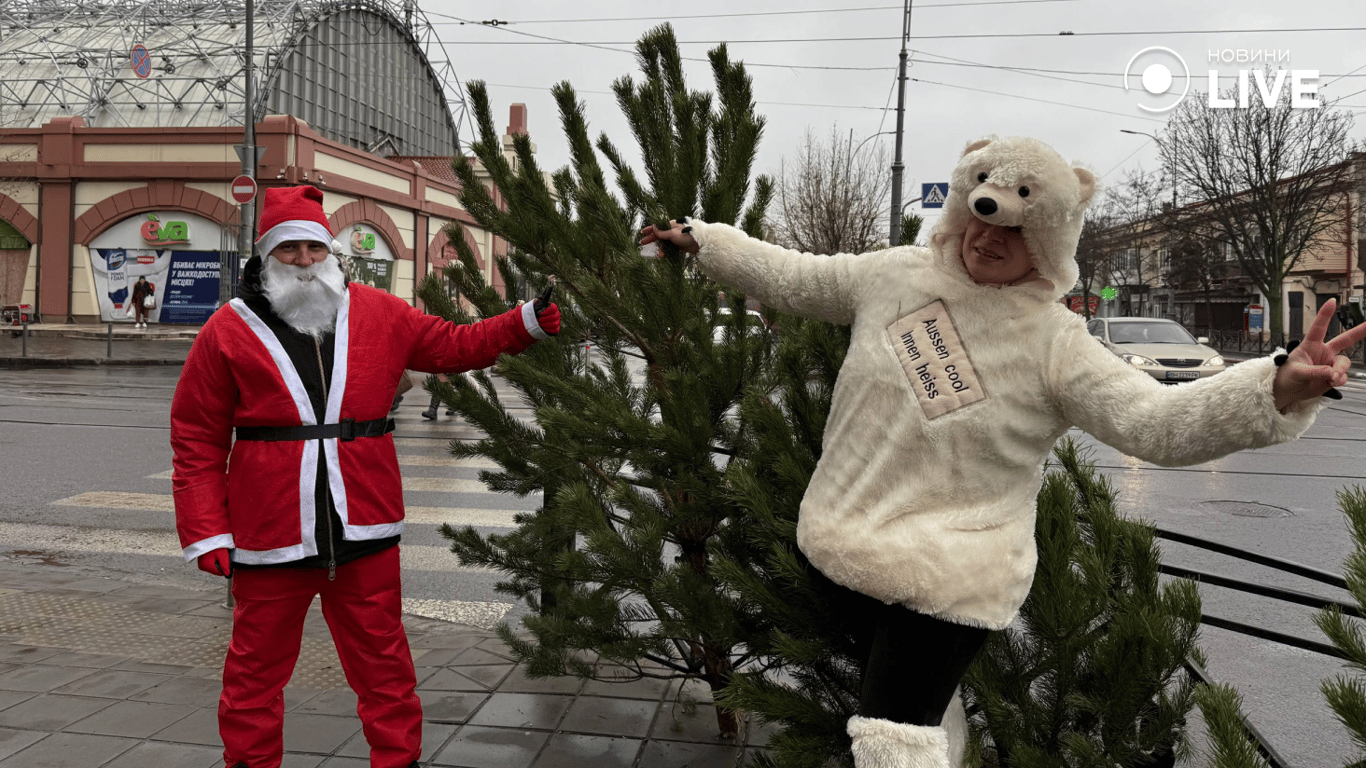 Ялинковий базар на Привозі в Одесі, вибір живих ялинок перед святами
