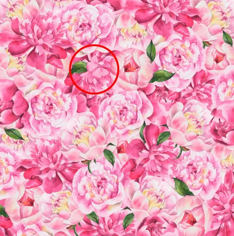 Лише геніально спостережливі люди знайдуть рожевого метелика на рожевих квітах - фото 2