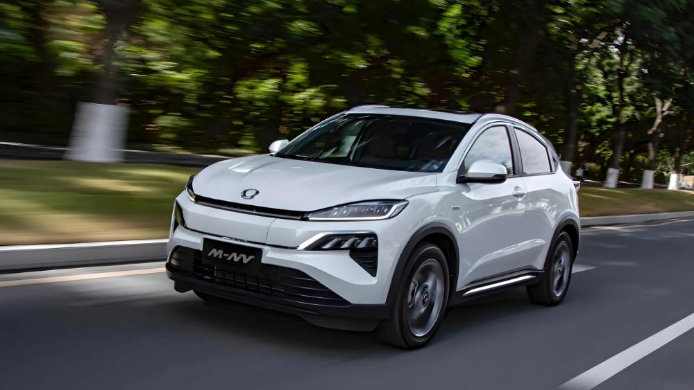 На рынке электрокаров Украины появился новый неожиданный лидер - фото 1