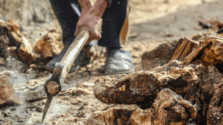 Заготовка дров — где можно рубить и как не нарваться на штраф - 285x160