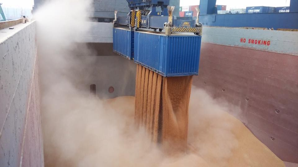 Стало відомо, скільки вже збіжжя перевезли морським коридором - фото 1