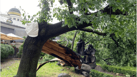 Непогода в Киеве — сколько поваленных деревьев и пострадавших - 285x160