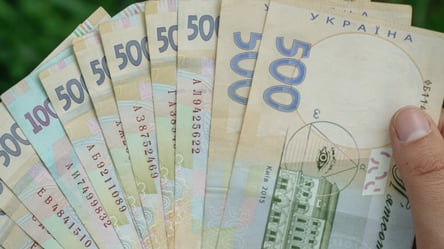 Особи з інвалідністю отримають допомогу у 10 800 грн: умови - 290x166