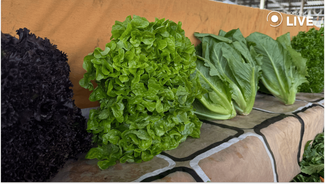 Ціни на базарі Черемушки в Одесі - що дорожчає і чого чекати далі - фото 6