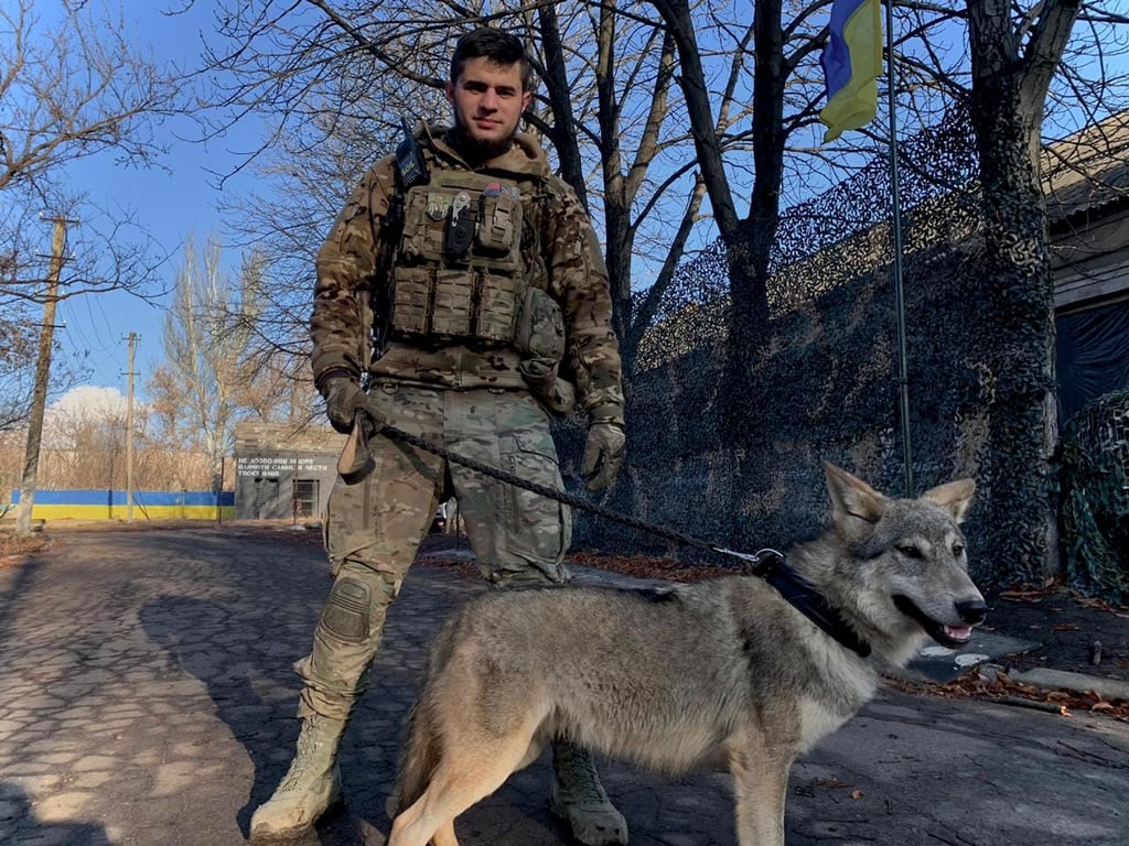 Дмитро Да Вінчі Коцюбайло