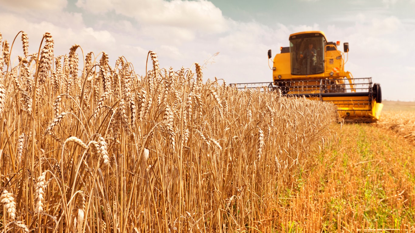 Цены на зерновые в Украине по состоянию на 9 ноября 2023 года