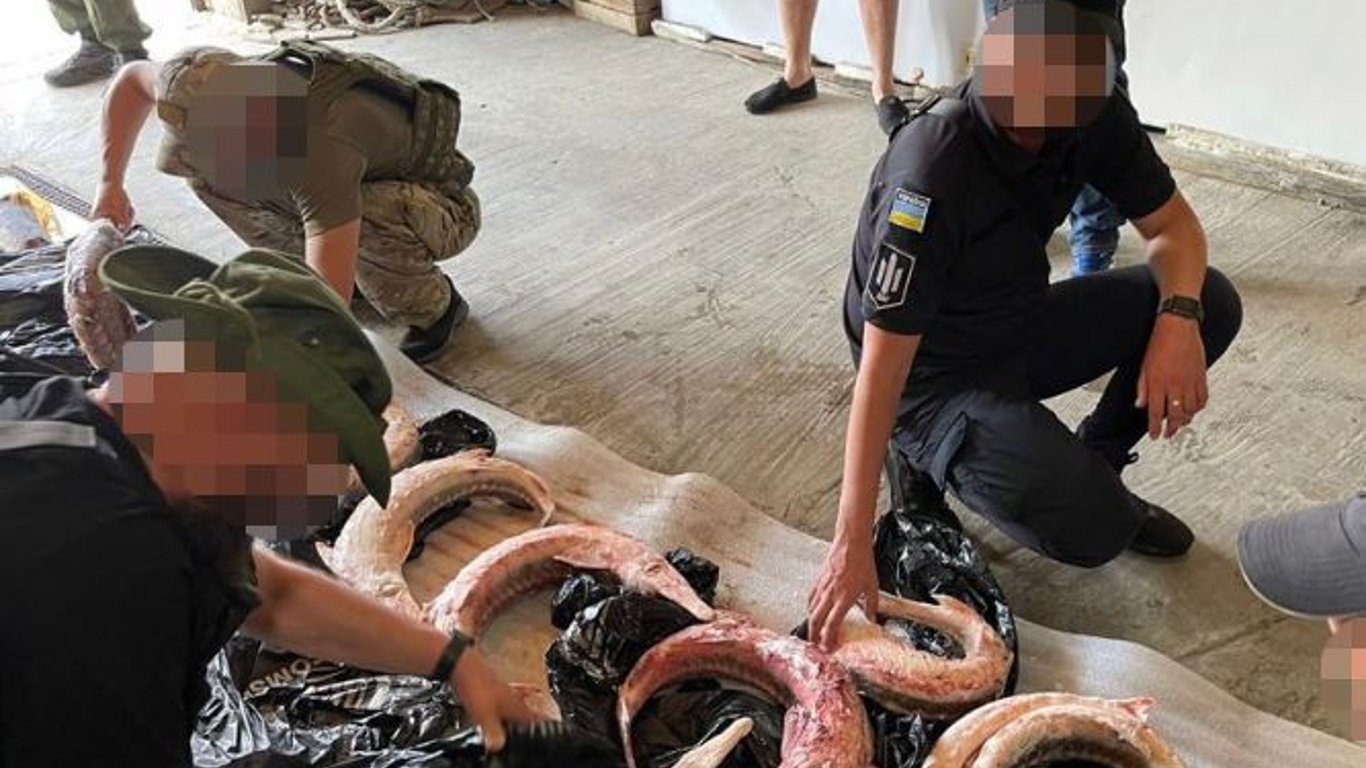 В Одесской области чиновники способствовали незаконному вылову рыбы