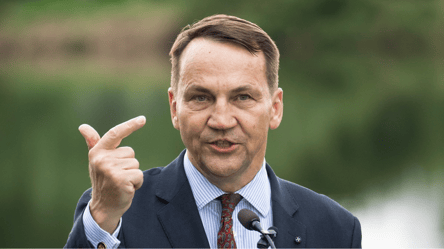 Сикорский пригласил "Мадьяра" в Польшу после решения Венгрии - 285x160