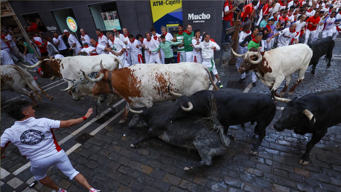 Забег с быками