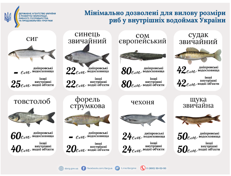Риболовля у 2025 — без чого українці можуть отримати штраф - фото 2