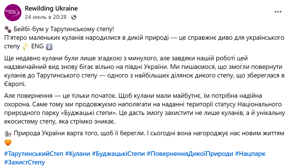 В степу на Одещині бейбі-бум у диких куланів — подробиці - фото 1