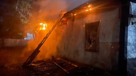 Во время пожара в Киевской области погибли мать с ребенком - 290x166