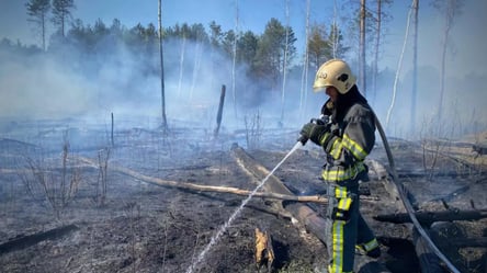 Росіяни не дають працювати ДСНС: пожежа на Чернігівщині ускладнилась - 285x160
