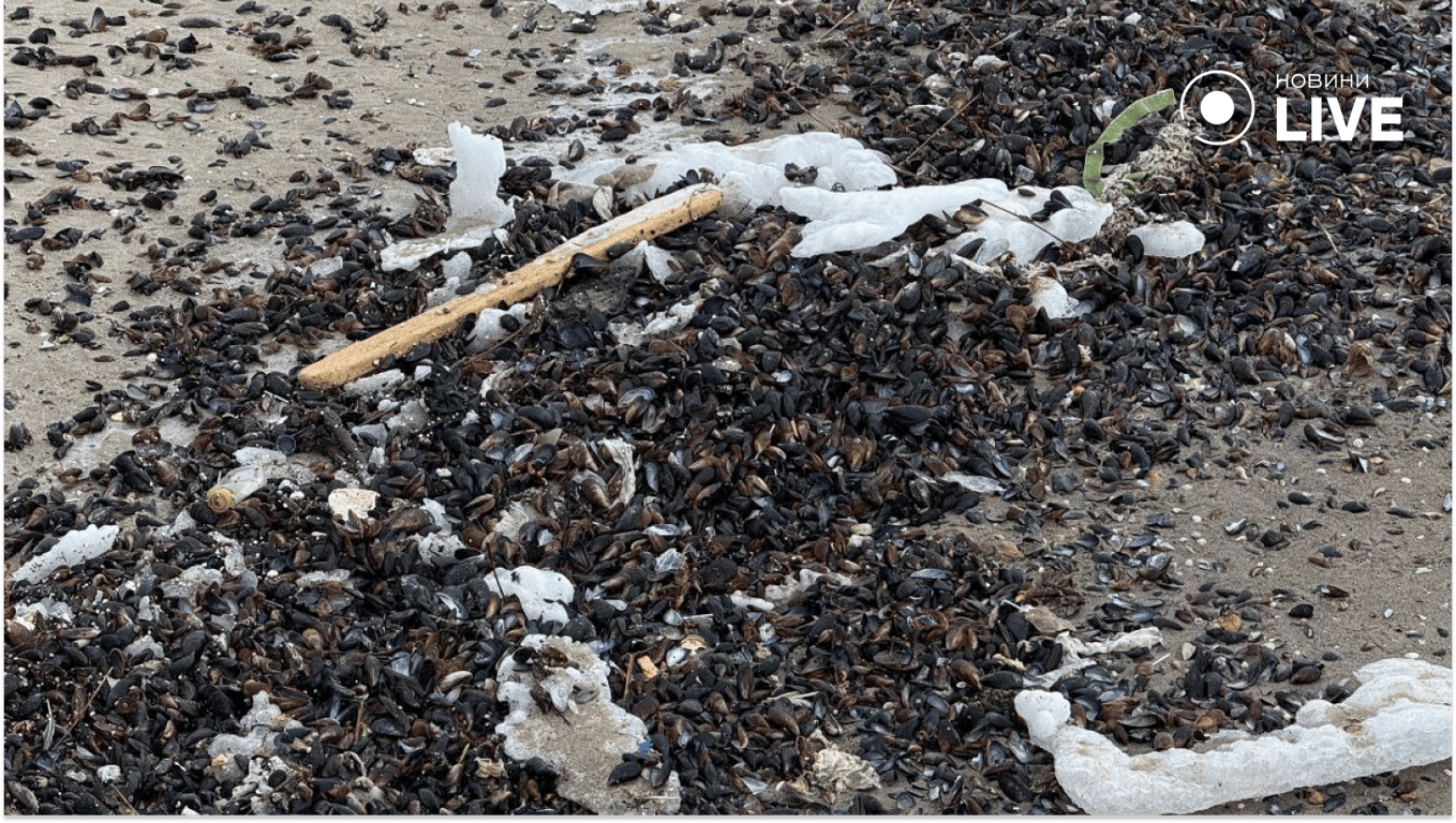 В Одесі море змило пляж