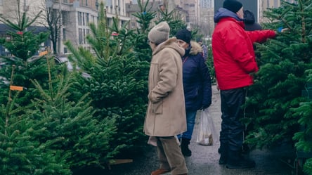 Киевлянам напомнили, какие елки можно перевозить в метро - 290x166