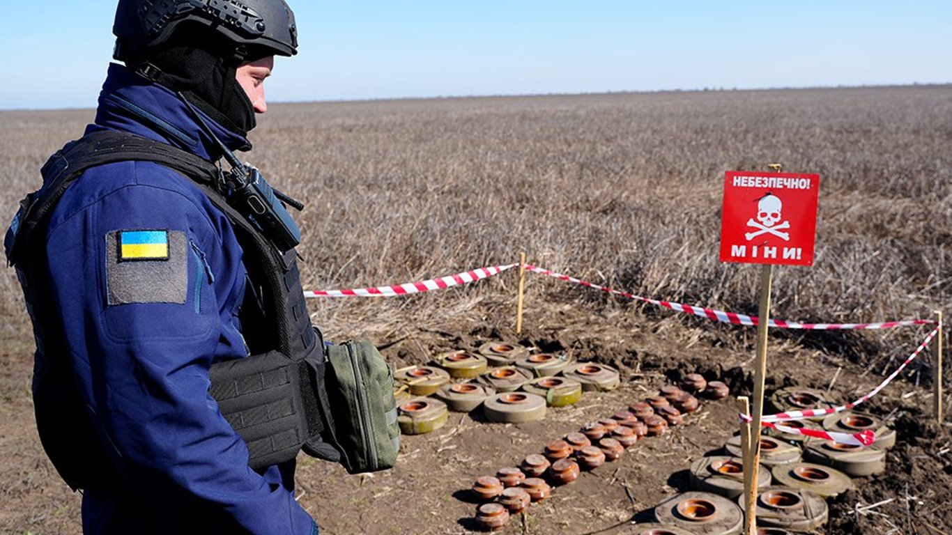 В Николаевской области на минах взорвались люди — подробности