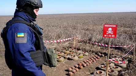 В Николаевской области на минах взорвались люди — подробности - 285x160