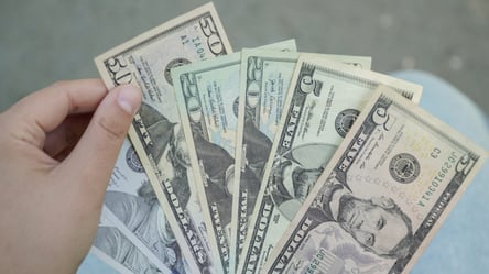 Фіндопомога до 1,3 тис. доларів — як українцям отримати виплати - 285x160