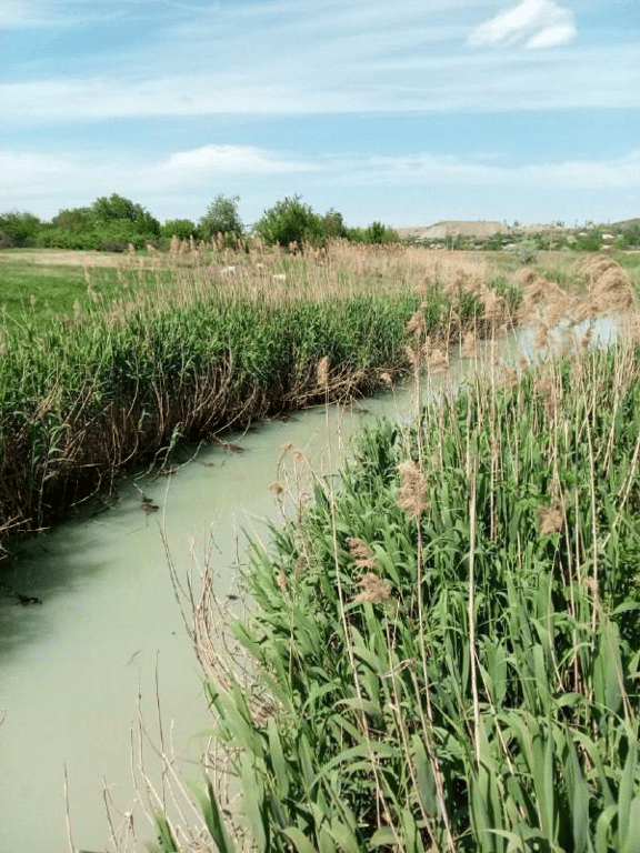 маріуполь кальчик як виглядає зараз