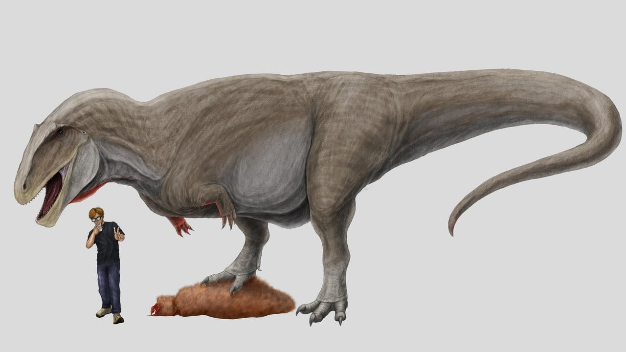 Чому динозаври, як тиранозавр рекс, мали такі крихітні передні лапки