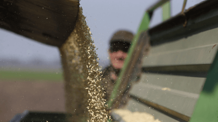 Ціни на зерно в Україні — скільки коштує ячмінь на початку квітня - 285x160