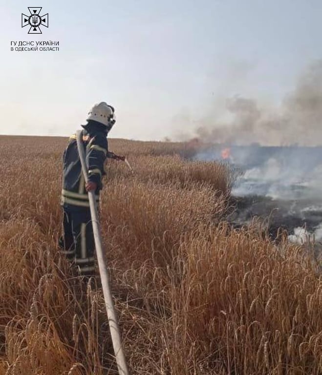Рятувальники гасять пожежу. Фото: ДСНС в Одеській області