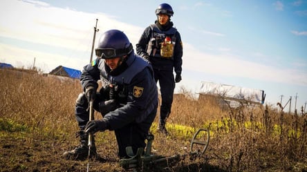 Мільярди на розмінування, а фермери без компенсацій: розслідування Наша справа - 290x166