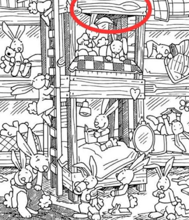 Правильный ответ на визуальную головоломку