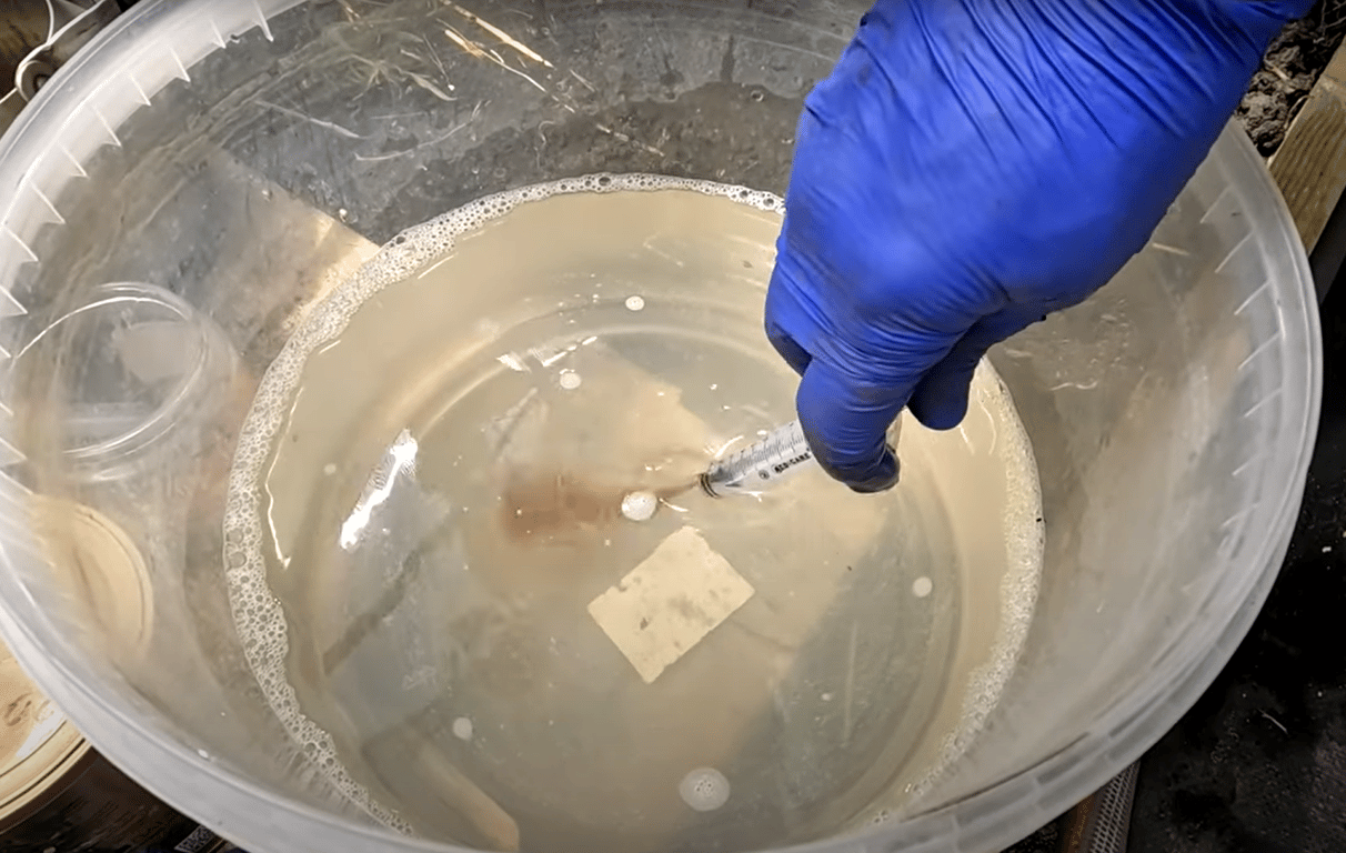 Действенный раствор для огурцов