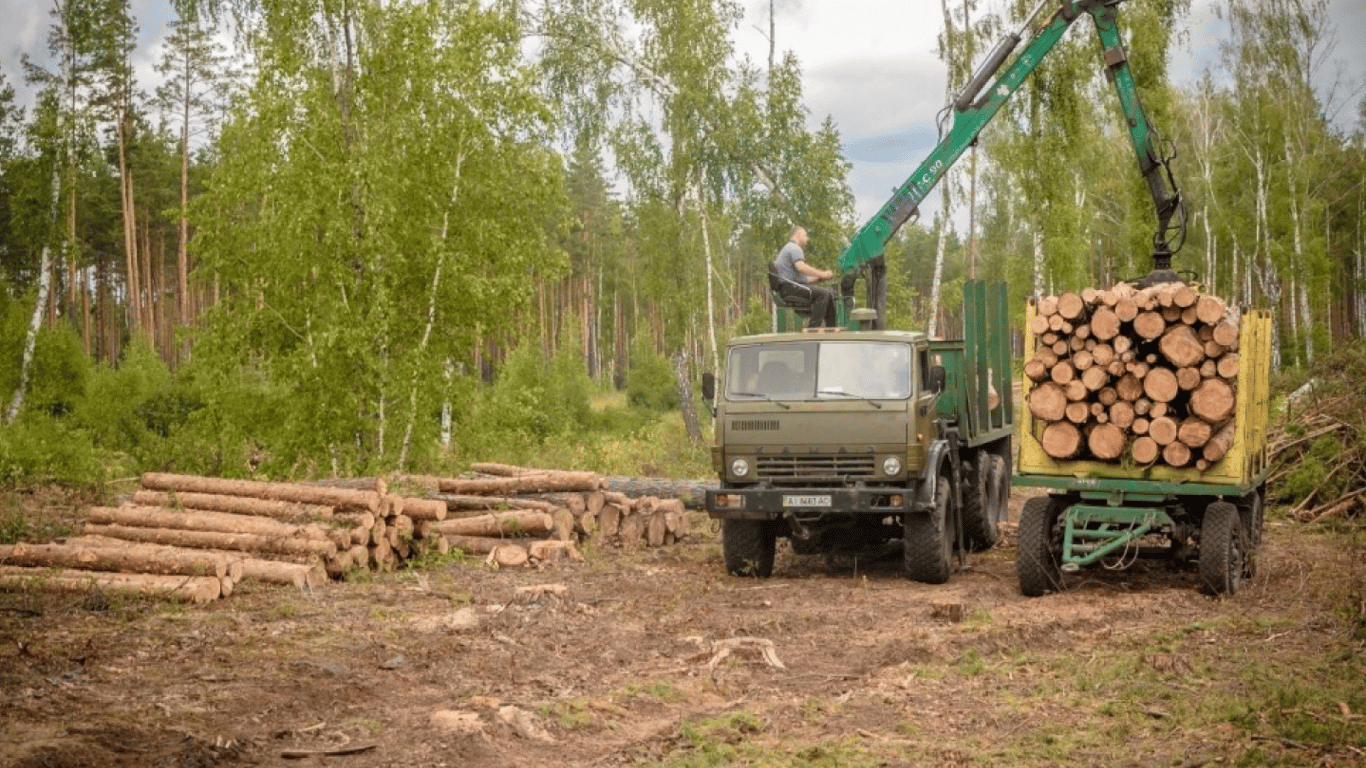 В Словакии задержали грузовик с радиоактивной древесиной из Чернобыля