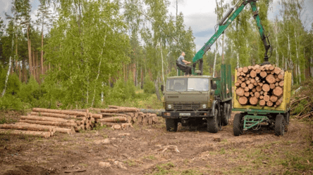 В Словакии обнаружили радиоактивную древесину из Чернобыля - 285x160