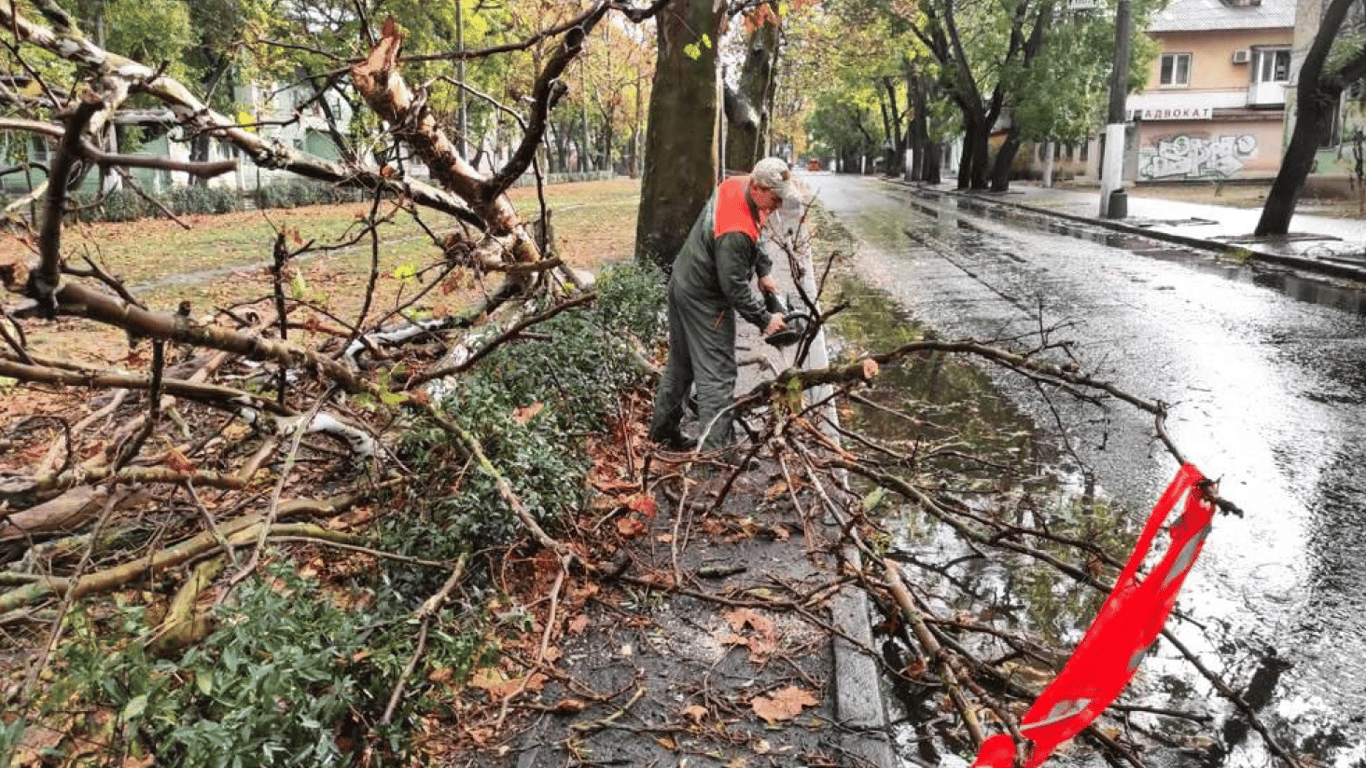 В Одессе непогода повалила деревья — какая ситуация сейчас