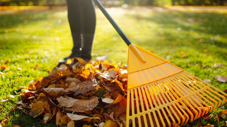 Мульча из листьев для огорода — польза и проверенные правила - 285x160