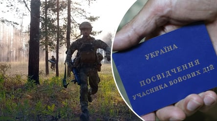 Утрата посвідчення УБД: як відновити документ - 285x160