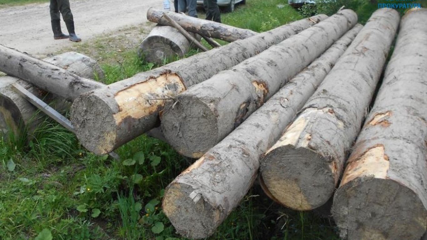 На Львівщині з території заповідника зрубали дерев на майже 1 млн грн